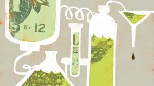 Algae_300x200.jpg Algae_300x200.jpg