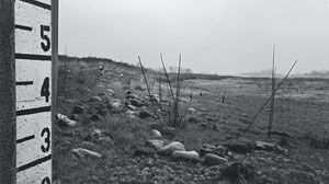 Dustbowl_300x200.jpg Dustbowl_300x200.jpg