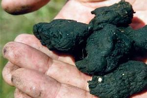 Waste_Sludge_300x250.jpg Waste_Sludge_300x250.jpg