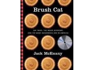 books-brush-cat-300x250.jpg books-brush-cat-300x250.jpg