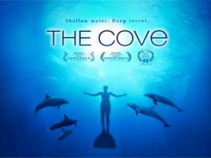 cove-300x200.jpg cove-300x200.jpg
