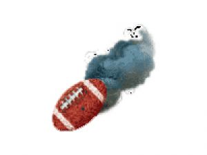 foulball.jpg foulball.jpg