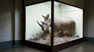 gone-300x200.jpg gone-300x200.jpg