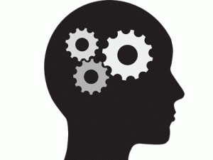 brain workings