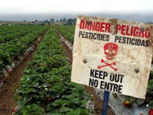 pesticides-300x200.jpg pesticides-300x200.jpg