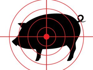 piggie