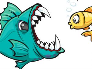 piranha