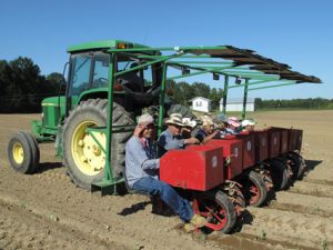 Workers on Keith Smith's farm