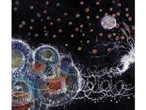 songs-in-the-night-300x200.jpg songs-in-the-night-300x200.jpg