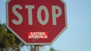 stop sign