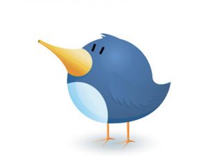 twitter bird