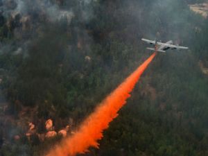 wildfire
