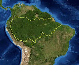 256px-Amazon_rainforest.jpg 256px-Amazon_rainforest.jpg