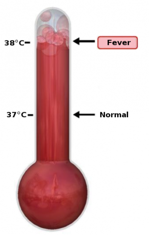 342px-Thermometer_Fever.svg.png 342px-Thermometer_Fever.svg.png