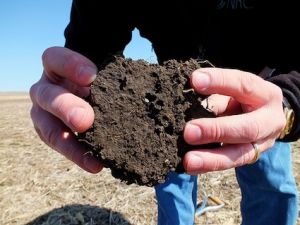Are We Heading Toward Peak Fertilizer? thumbnail