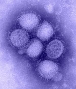 B00528_H1N1_flu_blue_med.jpg B00528_H1N1_flu_blue_med.jpg