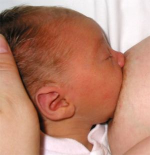 Breastfeeding01.jpg Breastfeeding01.jpg
