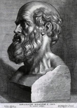 Hippocrates_rubens.jpg Hippocrates_rubens.jpg