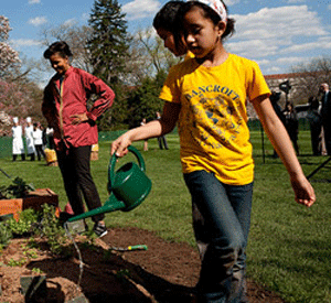 Obama-garden.gif Obama-garden.gif