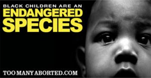 anti abortions essays anti abortions essays