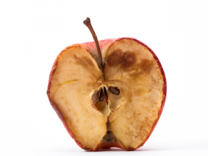 rotten apple