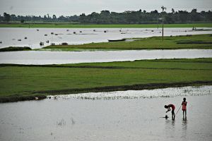 bangla.jpg bangla.jpg