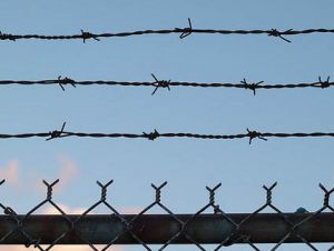 barbed wire