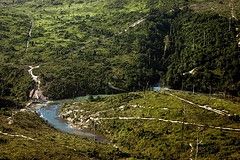 brazil-deforestation.JPG