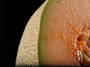 cantalope
