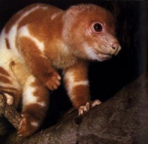 cuscus.jpg cuscus.jpg