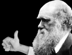 darwin