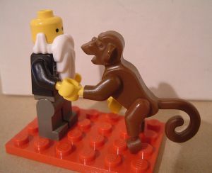Darwin and monkey