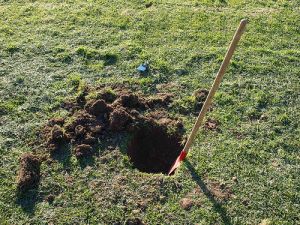 digging.jpg digging.jpg