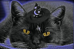 dominoHat300x200NeonEyes.jpg dominoHat300x200NeonEyes.jpg