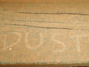 dust on a step