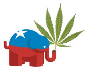 Republicans and marijuana