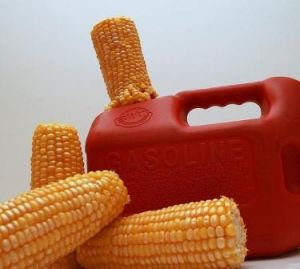 ethanol.jpg ethanol.jpg