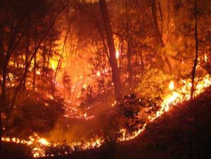 Wildfire Oregon