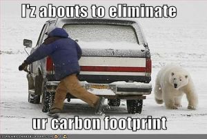 funny-pictures-bear-will-eliminate-your-carbon-footprint.jpg funny-pictures-bear-will-eliminate-your-carbon-footprint.jpg