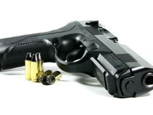 Gun