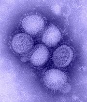 influenza_virus.jpg influenza_virus.jpg