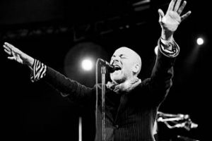 mikestipe.jpg mikestipe.jpg