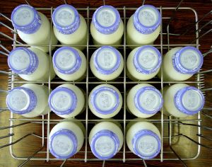 milk2.jpg milk2.jpg
