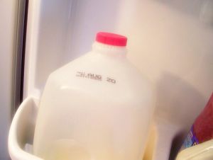 milk jug