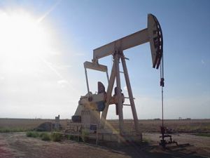 oil.jpg oil.jpg