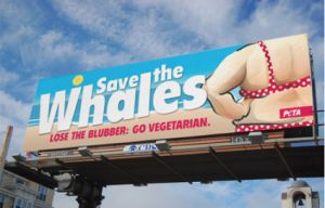 petasavethewhales-081709-main.jpg petasavethewhales-081709-main.jpg