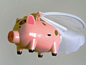 flying pig