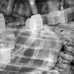 plastic-exhbit-house.JPG