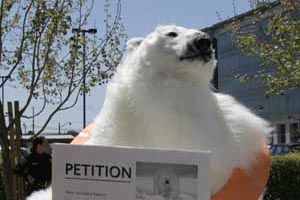 polar-bear-petition.jpg