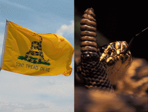 snake and flag